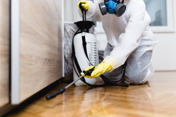 Best Rat Extermination Near Me  in Hudson, FL