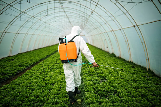Best Pest Inspection Near Me  in Hudson, FL