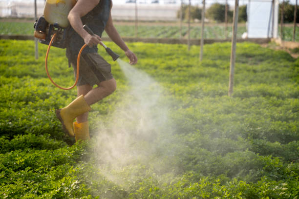 Best Wildlife Control Services  in Hudson, FL