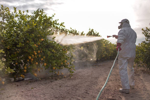 Best Flea Control Services  in Hudson, FL