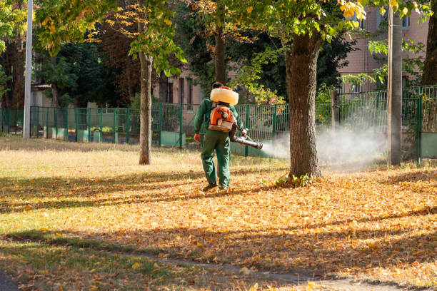 Best Best Pest Control Companies  in Hudson, FL