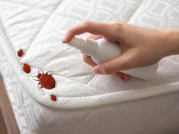 Best Pest Control Near Me in Hudson, FL