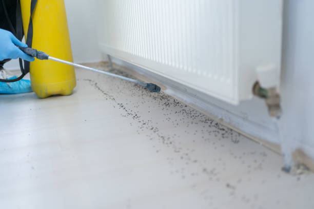 Best Mosquito Control Services  in Hudson, FL