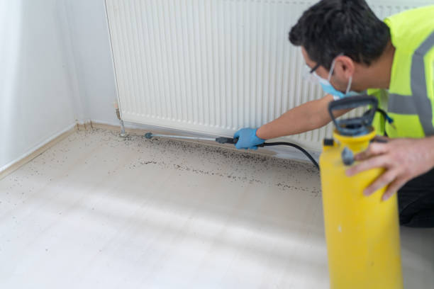 Best Pest Control for Businesses  in Hudson, FL